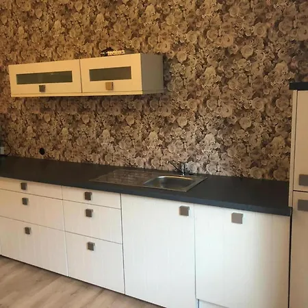 In Nahe Skipisten Feriehus