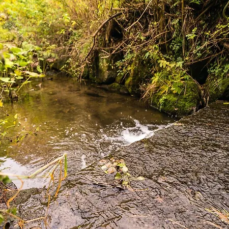 In Willingen Nahe Skipisten *