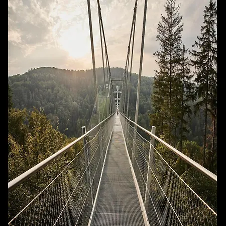 In Nahe Skipisten Holiday home *
