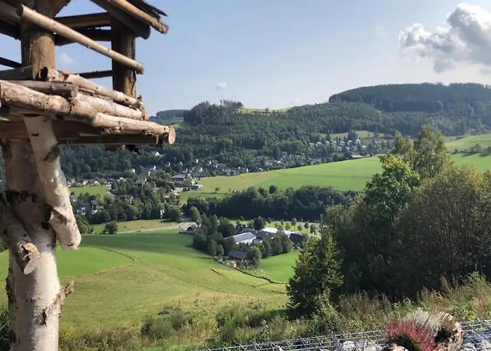 In Willingen Nahe Skipisten Tatil Evi *