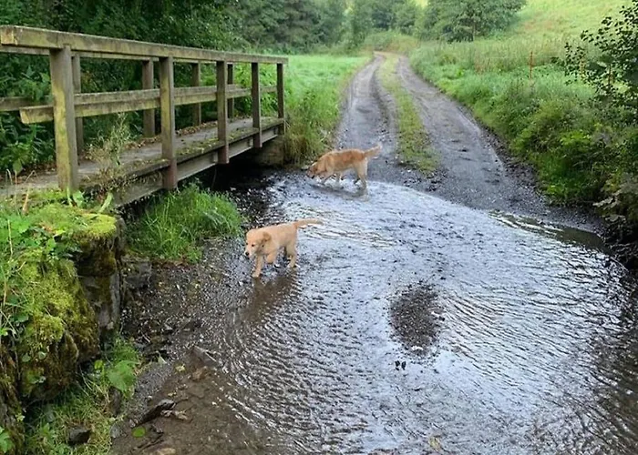 In Willingen Nahe Skipisten *