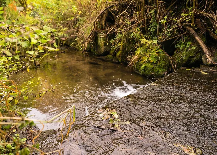 In Willingen Nahe Skipisten *