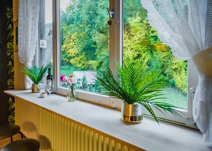 Tatil Evi In Willingen Nahe Skipisten *